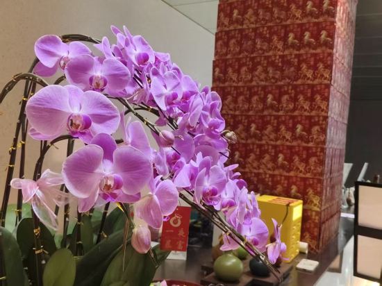 盈舍輕奢S酒店（深圳蛇口海上世界店）優惠