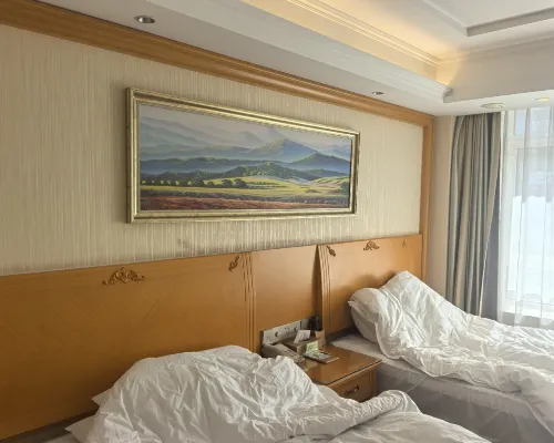 Vienna Hotel (Shenyang Central Street) Kamar Photos