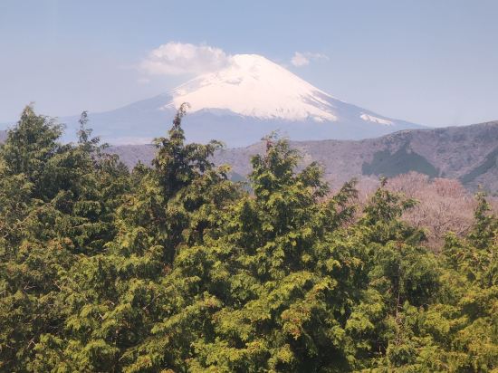 箱根強羅温泉　にごり湯の宿　桐谷箱根荘 クーポン