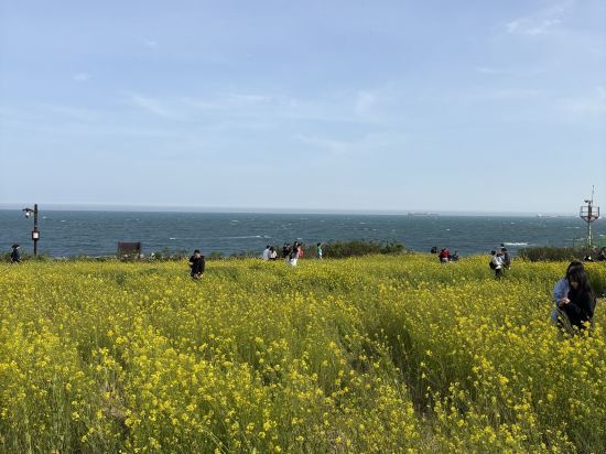 토요코인 울산 삼산동 쿠폰