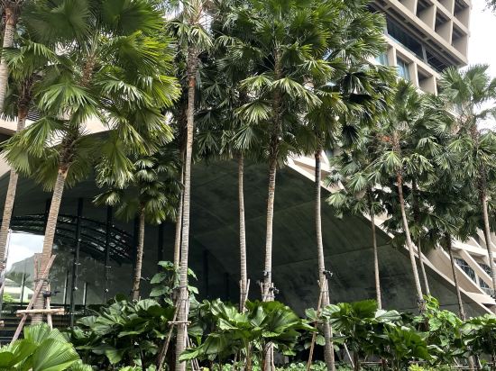 曼谷辛德霍恩凱賓斯基優惠