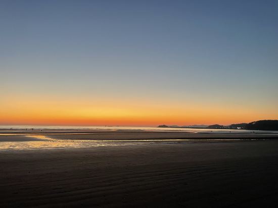 몽산포 파인 펜션 태안 쿠폰