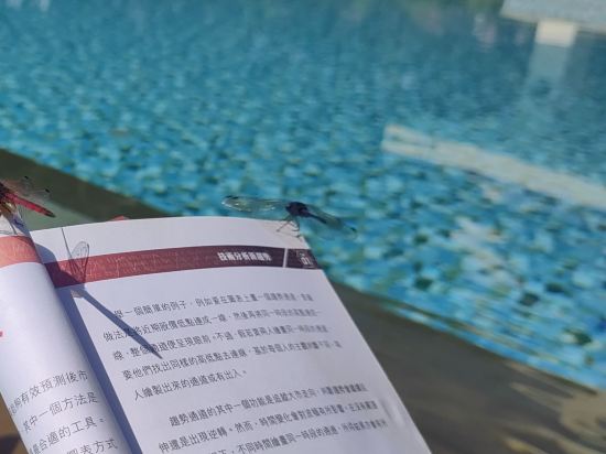 西雙版納雲投喜來登大酒店優惠