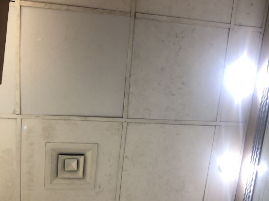 金色鬱金香阿爾巴沙酒店優惠