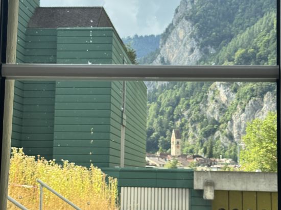 因特拉肯克雷布斯酒店優惠