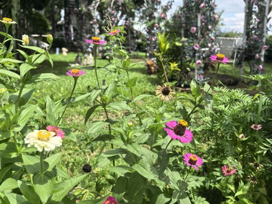 曬時間·花嶼幔莊園（SHA Extra Plus）優惠