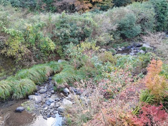 嬉野温泉　椎葉山荘 クーポン
