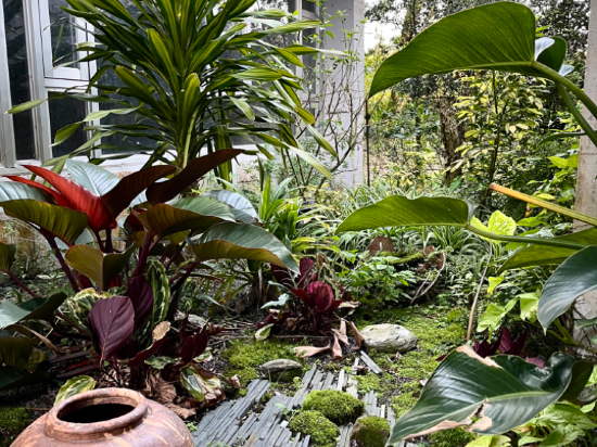 宜蘭有朋會館優惠