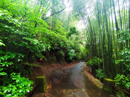 緑と渓流に抱かれた美肌温泉の宿　霧島温泉静流荘 クーポン