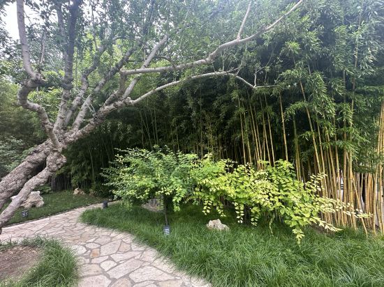 北京竹園賓館優惠