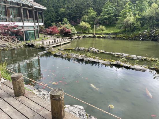 仙女山新華飯店優惠