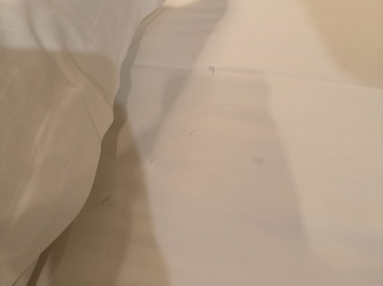 廣州禮信酒店優惠