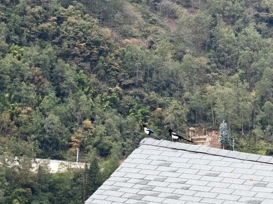 鸞喜·隱山民宿（海螺溝店）優惠