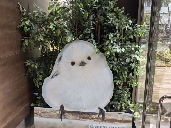 京王プラザホテル札幌 クーポン