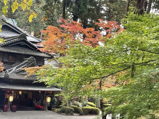 下呂溫泉 湯之島館優惠