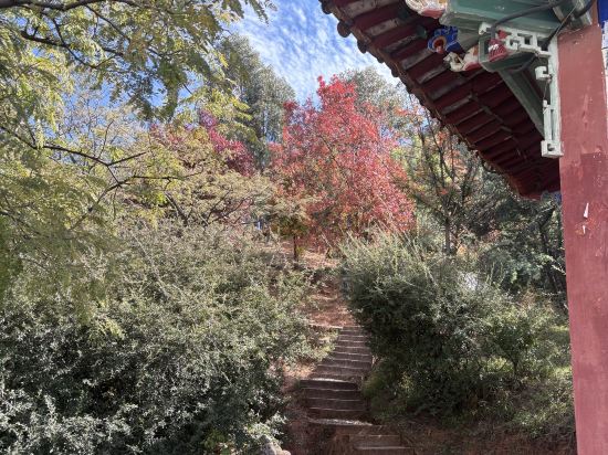 大理洱海天域英迪格酒店優惠