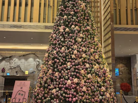 廈門宸洲海景洲際酒店優惠