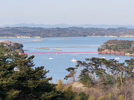 ホテル松島大観荘 クーポン