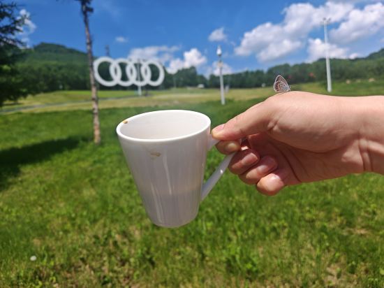 長白山萬達喜來登度假酒店優惠