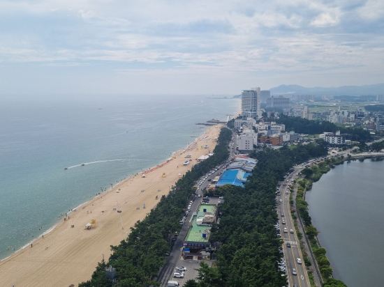 스카이베이 호텔 경포 쿠폰