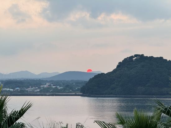 브리즈베이 호텔 쿠폰