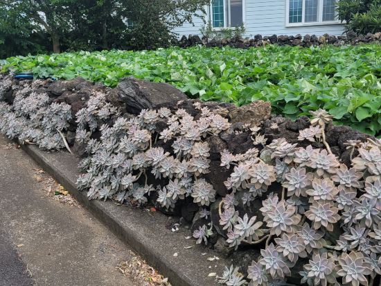 유탑유블레스호텔 쿠폰