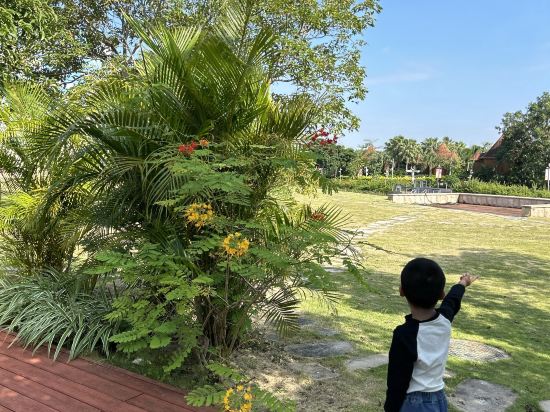 珠海橫琴星樂度露營小鎮優惠