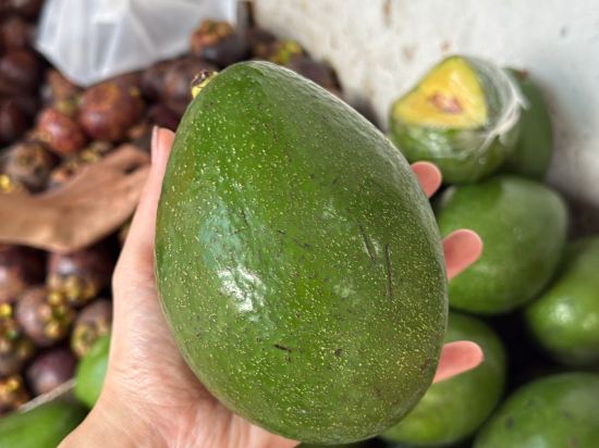 巴淡島藝術飯店優惠