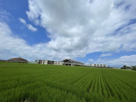 SHONAI HOTELSUIDEN TERRASSE クーポン