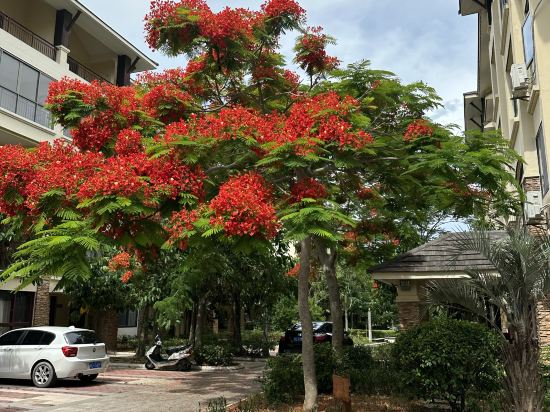 東山島領海網紅海景度假別墅優惠
