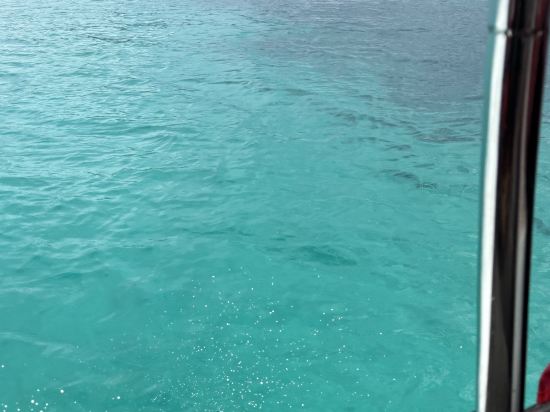 仙本那海豐大酒店優惠