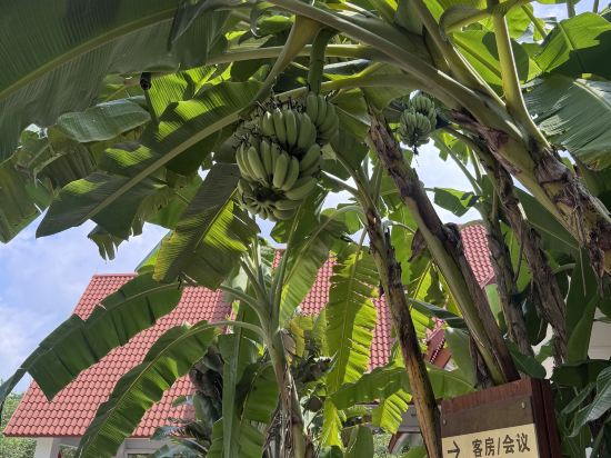 雲浮迎賓館優惠