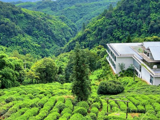 邛崍竹上花楸民宿優惠