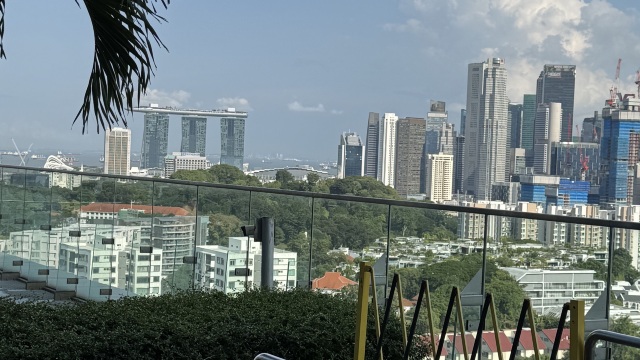 review picture