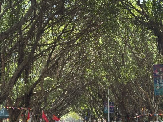 湄洲島海景大飯店優惠