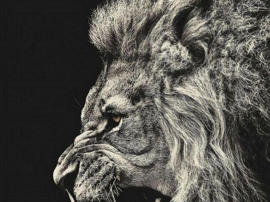 維也納國際酒店（深圳國際會展中心店）優惠