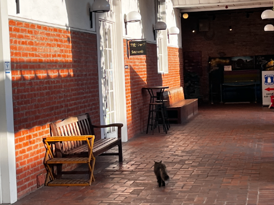 倉敷アイビースクエア クーポン