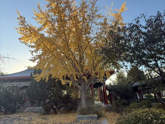 朗麗茲太和府飯店（北京生命科學園地鐵站店）優惠