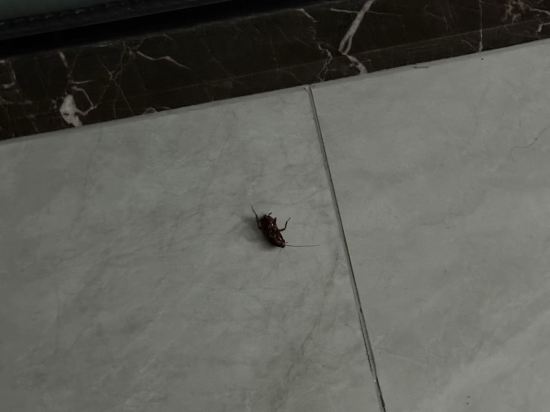 凱里亞德酒店（湖南金融中心店）優惠