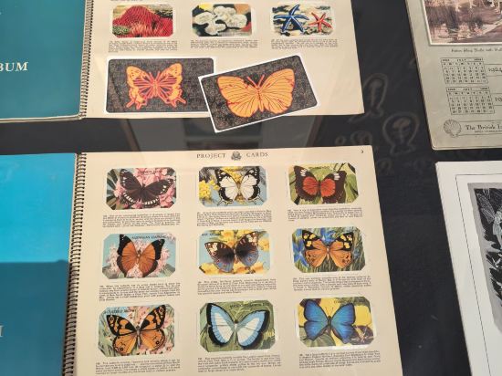 墨爾本宜必思公寓式飯店優惠