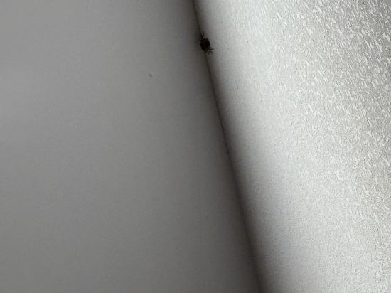 廬山湯太宗溫泉度假村優惠