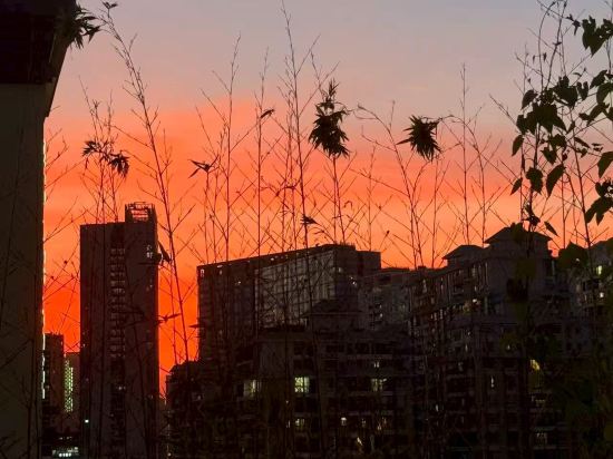 深圳大學南山科技園芮汐酒店優惠