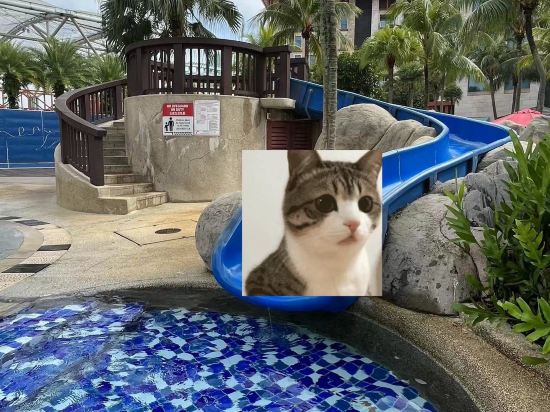 聖淘沙名勝世界硬石酒店 （Staycation Approved）優惠