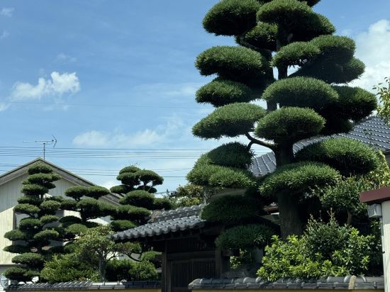 六妙溫泉湯日式旅館優惠