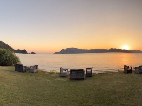 ザ　シーン クーポン