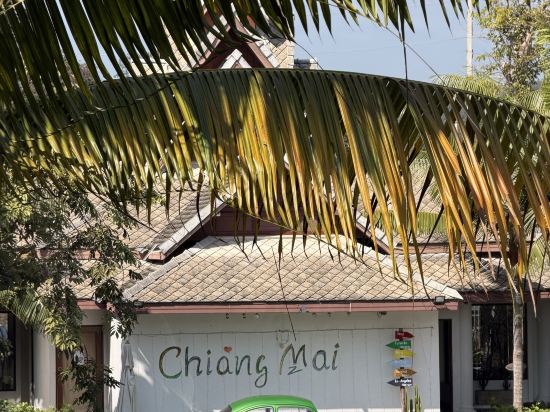 貓小伊-清邁梅花鹿泳池度假村優惠