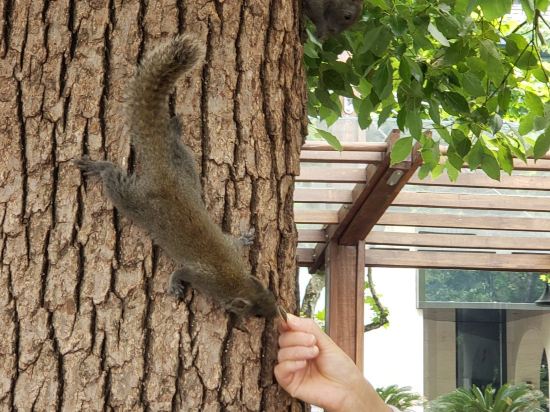 杭州走耳又YMCA酒店（西湖店）優惠