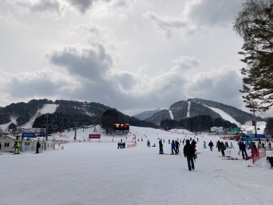 용평 리조트 쿠폰