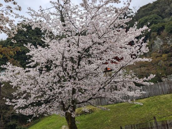 大和Roynet酒店岐阜優惠