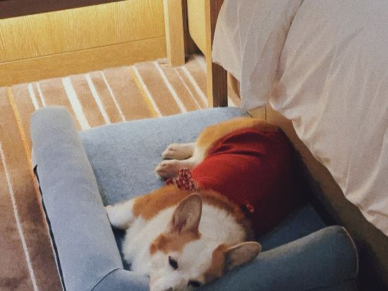 蘇州凱悅飯店優惠